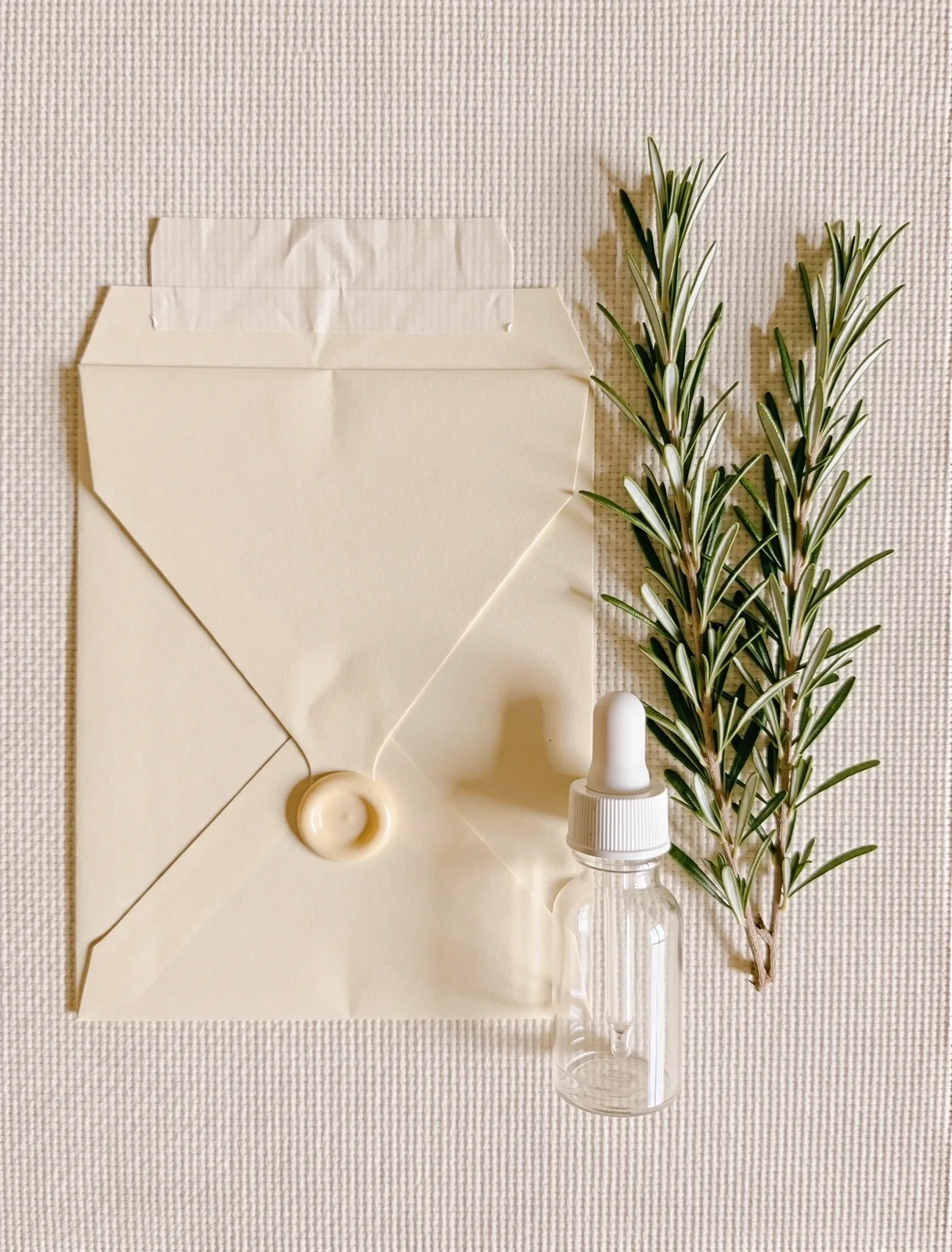 Botanical specimen photography